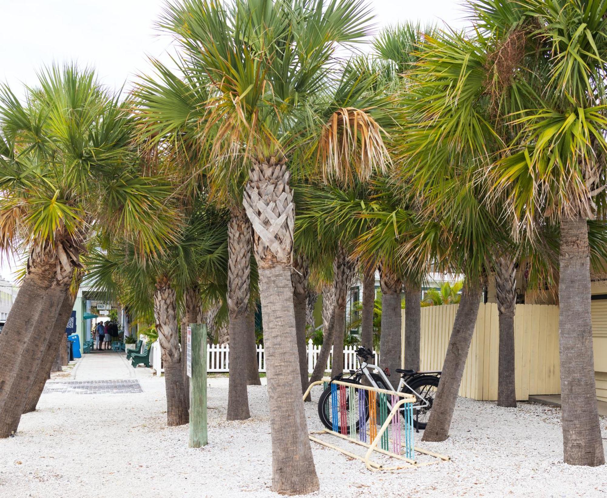The Hotel Zamora St. Pete Beach Εξωτερικό φωτογραφία