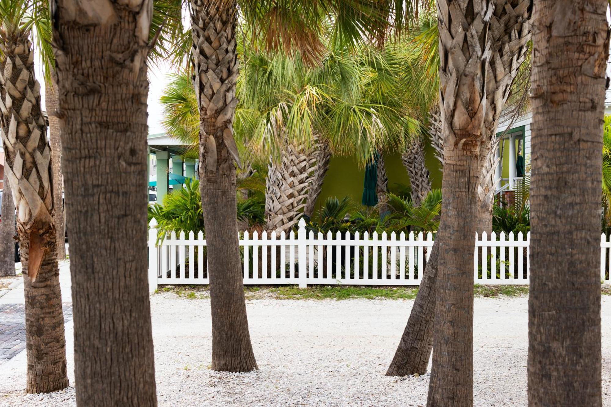 The Hotel Zamora St. Pete Beach Εξωτερικό φωτογραφία