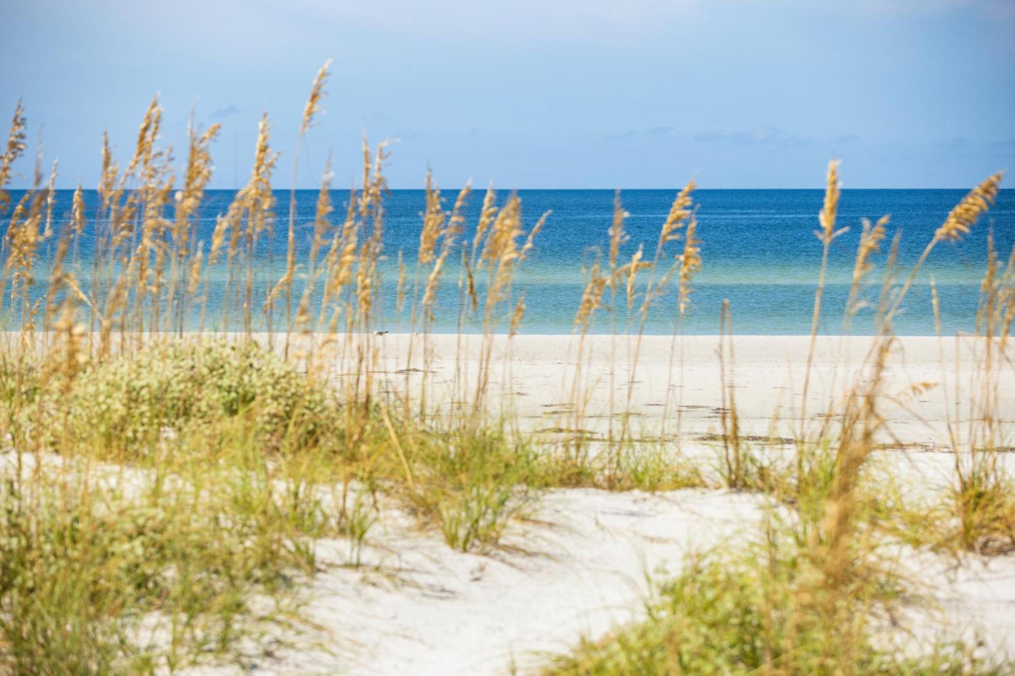 The Hotel Zamora St. Pete Beach Εξωτερικό φωτογραφία